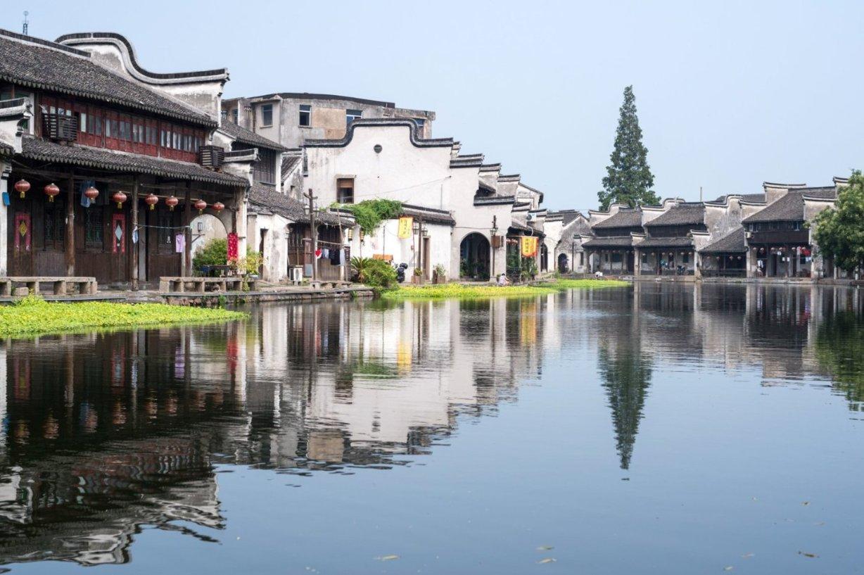 逃离仿真森林